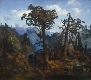 Gamle Pines