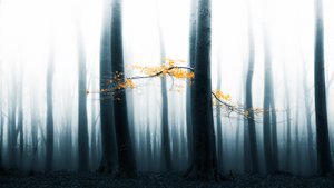 Tåget skovglød af Lars van de Goor †