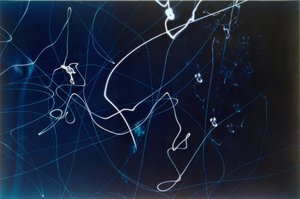 Ohne Titel (3 billeder af trafiklys) af Laszlo Moholy Nagy
