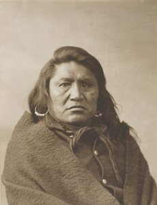 Døv Tyr, ca. 1880.