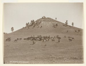Arbejder en lille flok i bakkerne, ca. 1900.