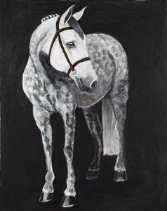 White Horse 2, ca. 2024 (akryl på lærred)