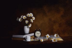 Daisies Books Morgenfred af Leah Xu