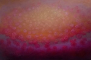 Rapture i Rose, 2025 af Lee Campbell