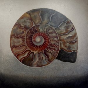 Silver Ammonite, 2024 (olie på lærred) af Lee Campbell