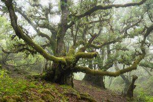 Forgotten Land III, 2025 (foto) af Lee Cooper