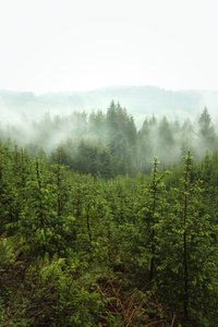 Spring Depths, 2024 (foto)