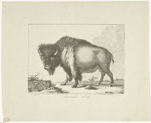 Bison af Leendert Brasser