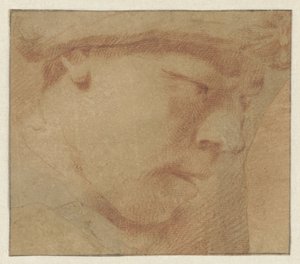 Hovedet af en dreng, til højre af Leendert van der Cooghen (manner of)