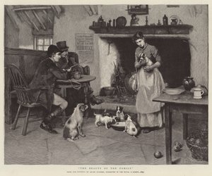 Familiens skønhed