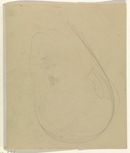 Hovedets konturer af Leo Gestel