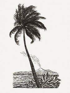 Palme med en ø (ca. 1891–1941)