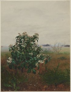  af Léon Bonvin