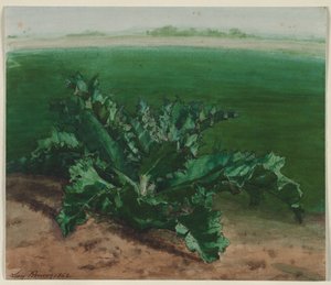 Studie af en plante, muligvis tidsel af Léon Bonvin
