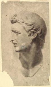 Tegning, Studie af et klassisk mandshoved (fra en gipsafstøbning), 1881-92 af Leon Dabo