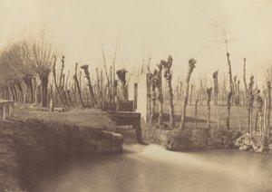Landskab, Montebello, ca. 1860 (foto) af Léon Gérard
