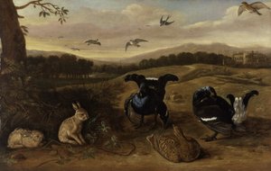 Sort vildt, kaniner og svaler i en park, ca. 1700 (olie på lærred) af Leonard Knyff
