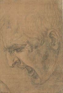 Hovedet af en skrigende mand af Leonardo da Vinci (follower of)