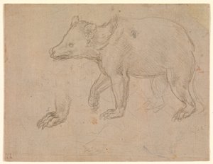 En bjørn på vandring af Leonardo da Vinci