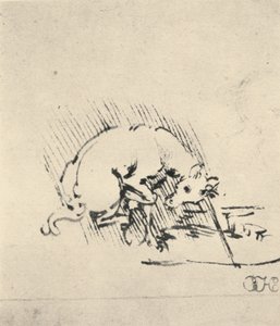 En enhjørning dypper sit horn i vandet, c1480 1945 af Leonardo da Vinci