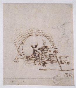 En enhjørning, der dypper sit horn i en vandpøl, ca. 1481 (pen og blæk og metalspids på papir) af Leonardo da Vinci