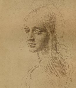 Et kvindeligt hoved, c1472-c1519 1883, af Leonardo da Vinci