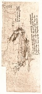 Et kort, der repræsenterer Middelhavet, c1472-c1519 1883 af Leonardo da Vinci