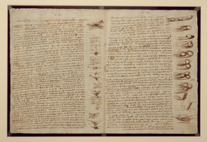En side fra Codex Leicester, 1508-12 (sepia blæk på hørpapir) af Leonardo da Vinci