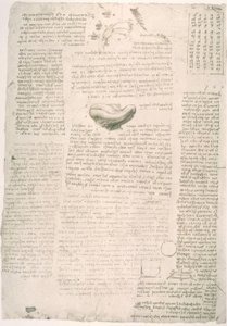 Anatomiestudien af Leonardo da Vinci