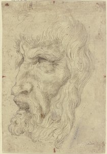 Antikke masker til venstre af Leonardo da Vinci