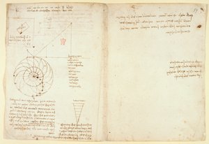 Arundel 263 f.44v, f.59 En skitse af et øje og en næse af et ansigt i profil; noter om vand, fra 