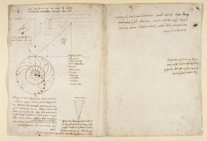 Arundel 263, f.44v, f.59 En skitse af et øje og en næse af et ansigt i profil; noter om vand, fra 