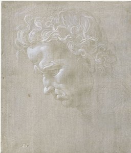 En mands ansigtsudtryk set i profil af Leonardo da Vinci
