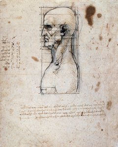 Buste af en mand i profil med mål og noter (sepia blæk på hørpapir) af Leonardo da Vinci