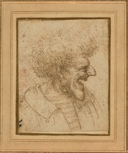 Karikatur af en mand med busket hår af Leonardo da Vinci