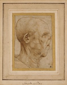 Karikatur af en gammel mands hoved, i profil til højre, ca. 1507 af Leonardo da Vinci