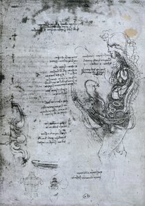 Kooition af en mand og en kvinde, faksimile kopi af Leonardo da Vinci