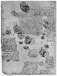 Diagram af blodhvirvelen i hjertet, slutningen af det 15. eller begyndelsen af det 16. århundrede 1954 af Leonardo da Vinci