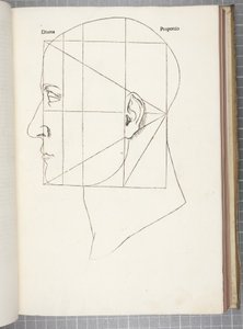 guddommelig proportion af Leonardo da Vinci