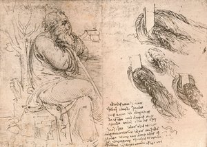 Tegning, der illustrerer repræsentationen af hår, der falder ned i krøller, c1472-c1519 1883 af Leonardo da Vinci
