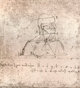 Tegning, der illustrerer teorien om proportionerne af den menneskelige figur, c1472-c1519 1883 af Leonardo da Vinci