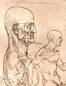Tegning, der illustrerer teorien om proportionerne af den menneskelige figur, c1472-c1519 1883 af Leonardo da Vinci