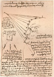 Tegning af et mandligt hoved, der illustrerer praksis med at male, c1472-c1519 1883 af Leonardo da Vinci