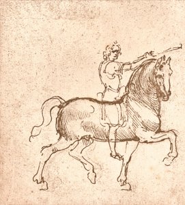 Tegning af en vandrehest, c1472-c1519 1883 af Leonardo da Vinci
