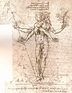 Tegning af en allegorisk komposition, c1472-c1519 1883 af Leonardo da Vinci