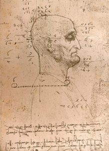 Tegning af hovedet på en kriminel, c1472-c1519 1883 af Leonardo da Vinci