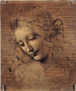 Kvinde hoved af Leonardo da Vinci
