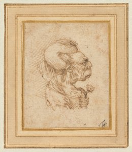 Grotesk hoved af en gammel kvinde af Leonardo da Vinci