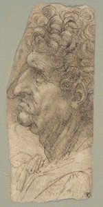 Hoved af en mand set i profil, vendt mod venstre af Leonardo da Vinci