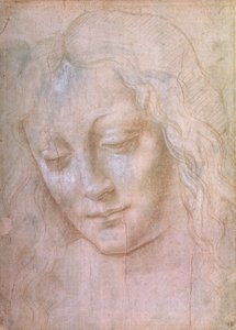 Hovedet på en kvinde (metalspids forhøjet med gouache) af Leonardo da Vinci